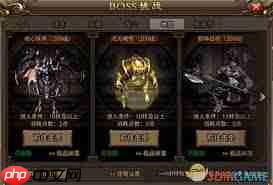 无双屠龙怎么挑战BOSS