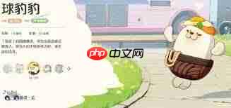 崩坏因缘精灵战斗设定是什么