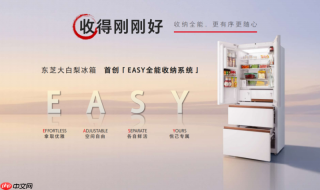 东芝大白梨爆品上新|全能再进阶,生活有梨刚刚好