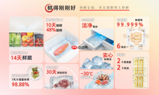 东芝大白梨爆品上新|全能再进阶,生活有梨刚刚好