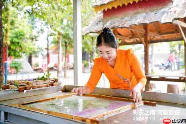 彩云之南向新前行 |数智赋能边疆美好生活新图景