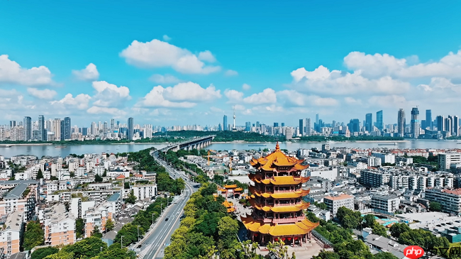 武汉超大城市治理:智变江城,未来已来