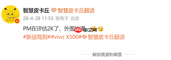 vivo史上首款Pro Max旗舰被曝采用2K屏 或下半年发布