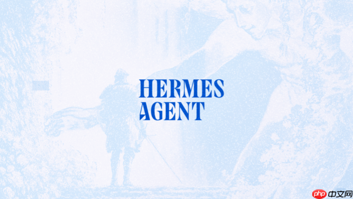 hermes agent怎么升级版本_hermes agent更新升级教程【更新】