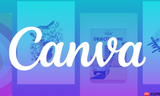 canva可画个人ip打造_统一视觉风格的品牌设计