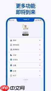 Mini记账如何查看年报