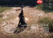下一站江湖2百殊刀怎么获得