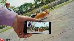 乐享夏日激情活力 购机首选三星Galaxy S26系列