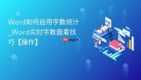 word如何启用字数统计_word实时字数查看技巧【操作】