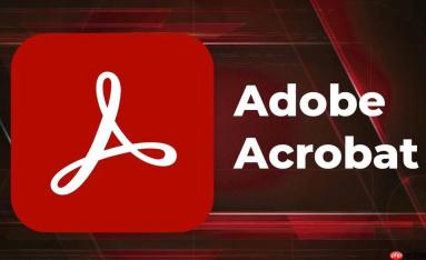 AdobeAcrobat 2024版有什么新功能_AdobeAcrobat最新版测评指南