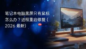 笔记本电脑黑屏只有鼠标怎么办？进程重启修复 (2026 最新)