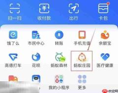 蚂蚁庄园今日答案最新5.1 5月1日庄园每日答题答案
