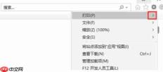 ie11怎么设置打印份数-ie11设置打印份数的方法