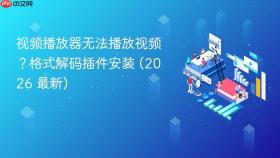 视频播放器无法播放视频？格式解码插件安装 (2026 最新)