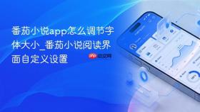 番茄小说app怎么调节字体大小_番茄小说阅读界面自定义设置