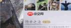 燕云十六声金沙川见闻任务怎么完成