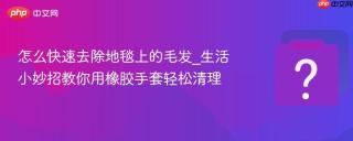 怎么快速去除地毯上的毛发_生活小妙招教你用橡胶手套轻松清理
