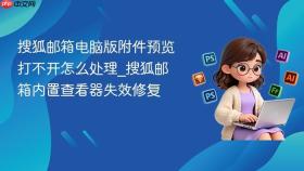 搜狐邮箱电脑版附件预览打不开怎么处理_搜狐邮箱内置查看器失效修复