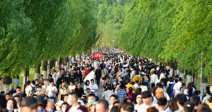 携程发布“五一”假期旅游数据,跨省游占比提升至61%