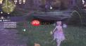 无限暖暖站在巨型画帽鸡上举起相机如何拍照片
