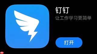 钉钉怎样置顶重要聊天_快速找到重要对话【效率】