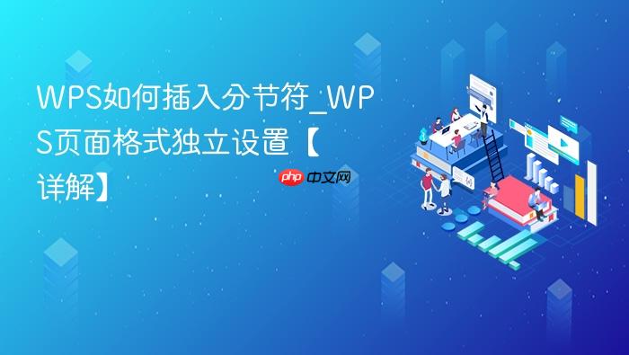 wps如何插入分节符_wps页面格式独立设置【详解】