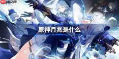 原神月兆是什么-原神月兆玩法说明