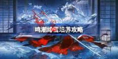 鸣潮绯雪培养攻略-鸣潮绯雪声骸武器阵容推荐