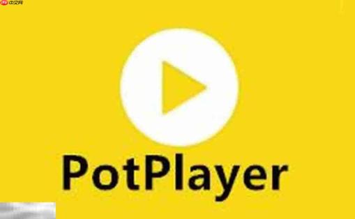 potplayer官网最新地址 potplayer官方电脑版入口