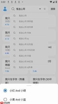苏澜音乐如何使用