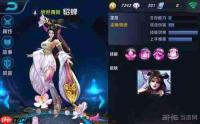 王者荣耀世界校医是什么