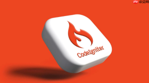 如何在codeigniter中使用beanstalkd_codeigniter任务队列系统【系统】