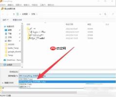 EveryThing怎么导出文件列表-EveryThing导出文件列表的方法
