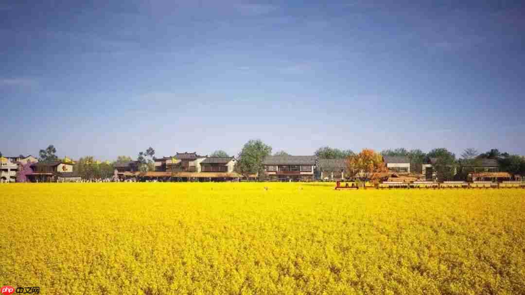 文旅聚势 湘潭“红”出圈!