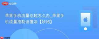 苹果手机流量总超怎么办_苹果手机流量控制设置法【妙招】