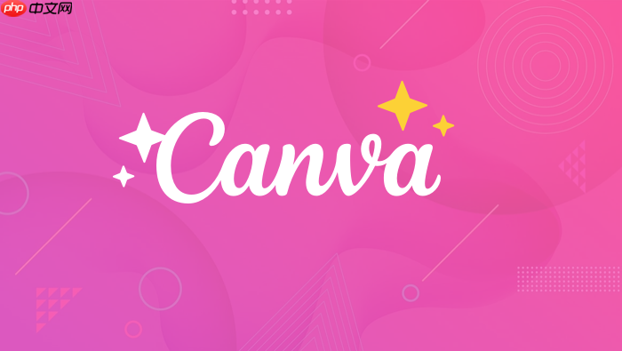 canva摄像头无法使用_解决canva调用摄像头问题【修复】