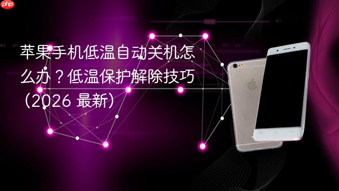 苹果手机低温自动关机怎么办？低温保护解除技巧 (2026 最新)