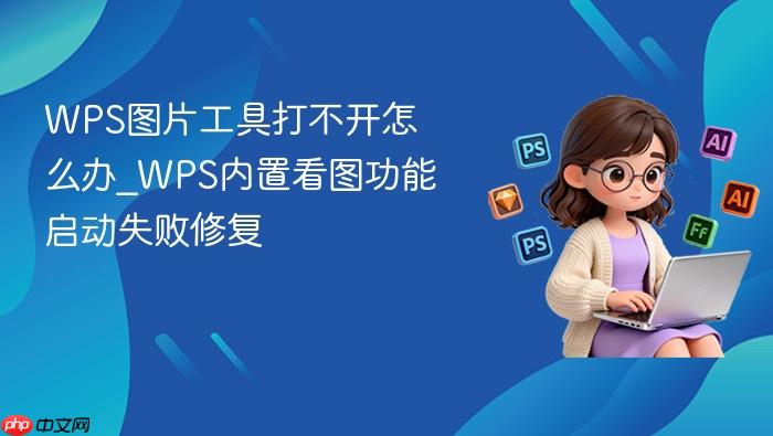 wps图片工具打不开怎么办_wps内置看图功能启动失败修复
