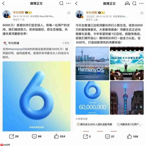 鸿蒙6终端设备数突破6000万!华为何刚:今年有望突破1亿目标