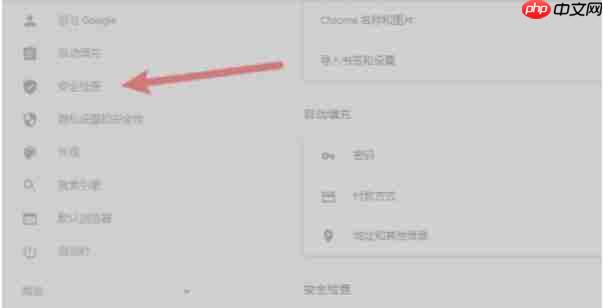 谷歌浏览器怎么进行安全检查-谷歌浏览器进行安全检查的方法