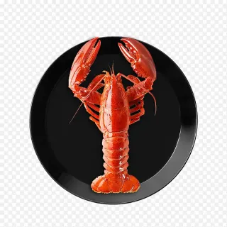 腾讯版小龙虾官网入口在哪