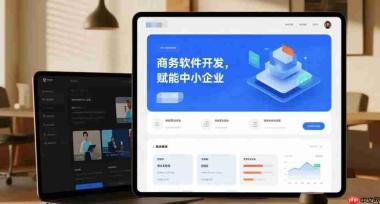 商务软件开发,赋能中小企业