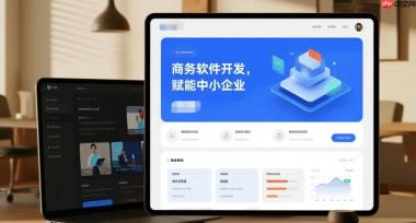 商务软件开发,赋能中小企业