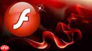 如何安装Adobe flash player国际版