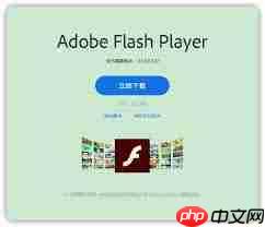 如何安装Adobe flash player国际版