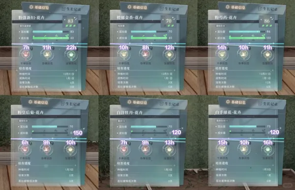 恋与深空花卉成熟时间一览