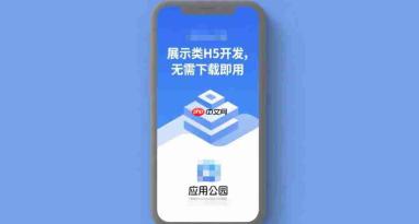 展示类H5开发,无需下载即用