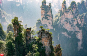 摘帽不是终点，张家界能否用芒果生态重塑山水流量逻辑？