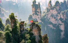 摘帽不是终点,张家界能否用芒果生态重塑山水流量逻辑?