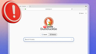 duck.ai在文本摘要和总结中的应用:快速提炼长文本核心内容的使用方法